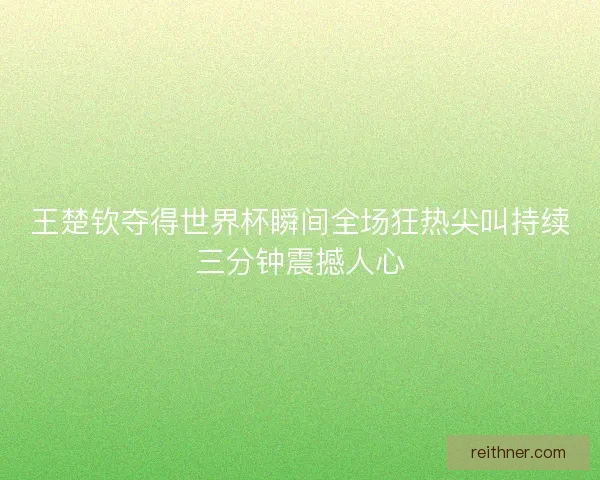 王楚钦夺得世界杯瞬间全场狂热尖叫持续三分钟震撼人心